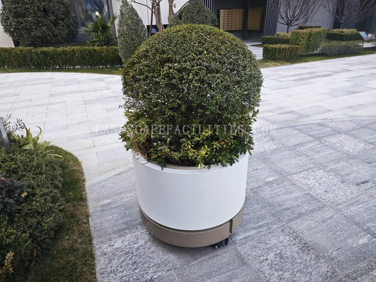 Are Stainless Steel Planting