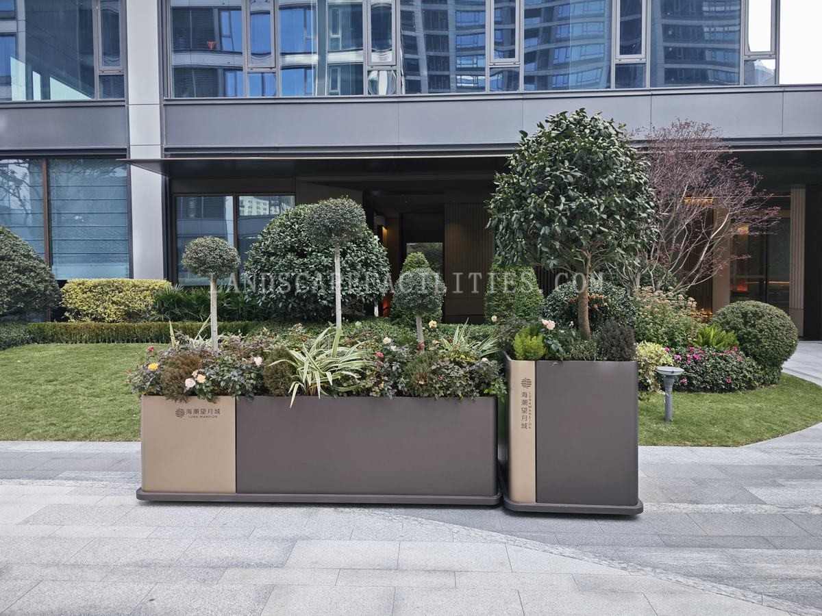 What are the best plants for flower boxes in urban areas?(pic1)