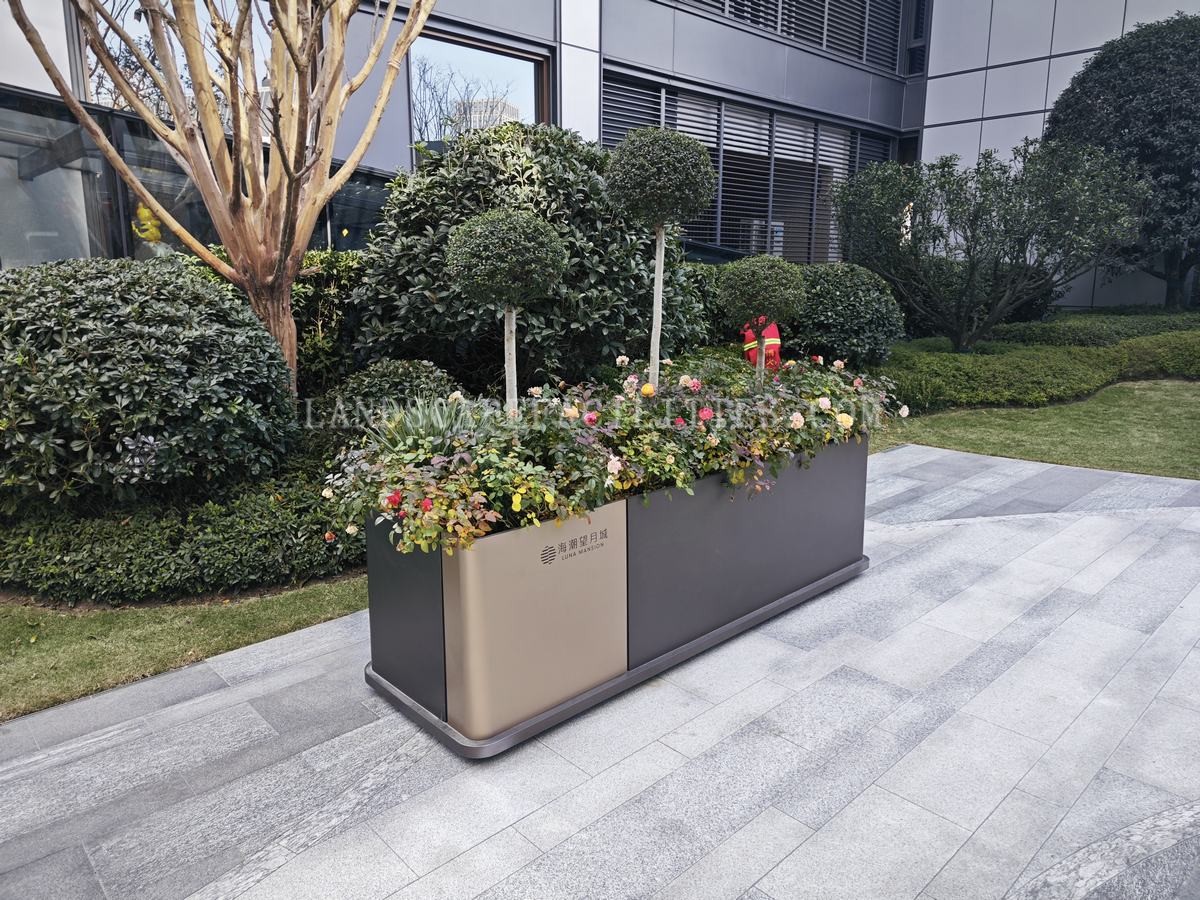 What are the best flowers for landscape flower boxes?(pic1)